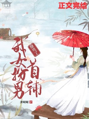 我女扮男掰弯了首辅