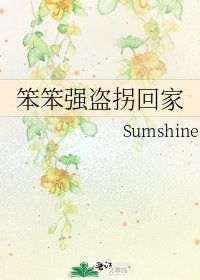 《笨笨强盗拐回家》