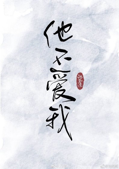 他不爱我