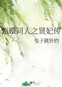 《甄嬛同人之賢妃傳》