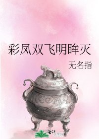 《綵鳳雙飛明眸滅》