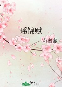 《瑶锦赋》