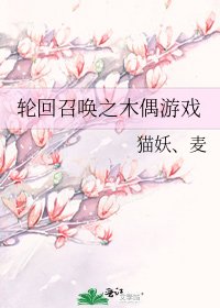轮回召唤之木偶游戏