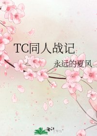 《TC同人战记》