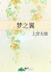 《梦之翼》