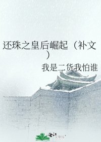 還珠之皇后崛起（補文）