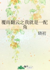 覆雨翻云之我就是一配角