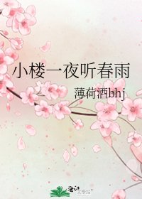 《小樓一夜聽春雨》