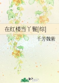 在红楼当丫鬟[综]
