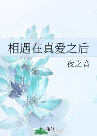 《相遇在真爱之后》