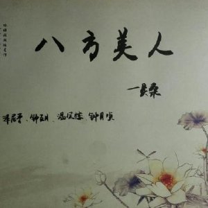 《八方美人》