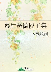 《幕后恶德段子集》
