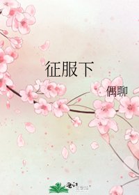 征服下