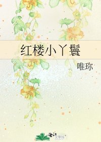 《红楼小丫鬟》
