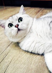 《童话般美好》