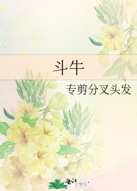 《斗牛》