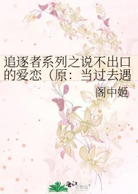 《追逐者系列之說不出口的愛戀(原:當過去遇見未來)》