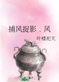 《捕风捉影﹒风》