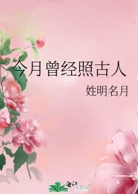 《今月曾經照古人》