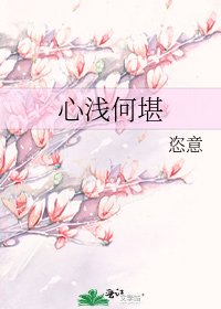 心浅何堪