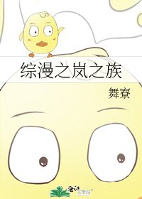 綜漫之嵐之族