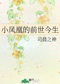 小凤凰的前世今生