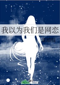《我以为我们是网恋》