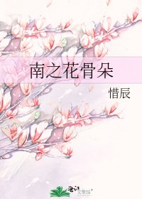 《南之花骨朵》