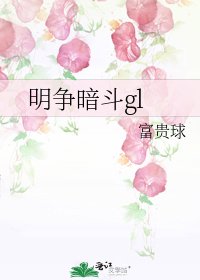 《明争暗斗gl》