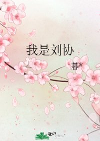《我是劉協》