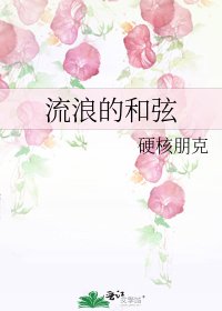 《流浪的和弦》