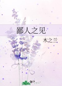 《鄙人之见》