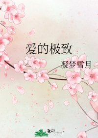 《爱的极致》