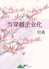 《当穿越企业化》