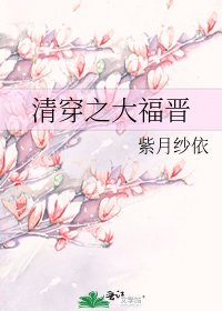 清穿之大福晋