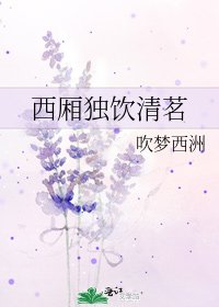 西厢独饮清茗