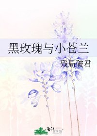 黑玫瑰與小蒼蘭