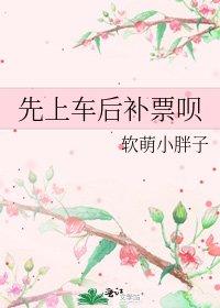 先上車後補票唄