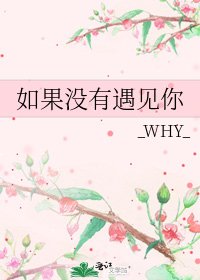 《如果沒有遇見你》