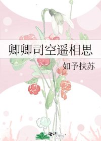《卿卿司空遥相思》