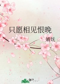 《只愿相见恨晚》