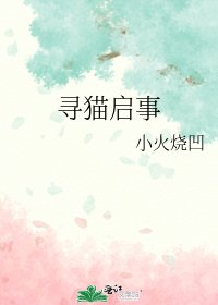 《寻猫启事》