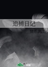 《追捕日記》