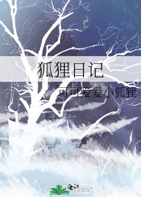 《狐狸日記》