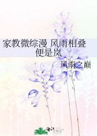 《家教微綜漫 風雨相疊便是嵐》