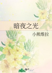 《暗夜之光》