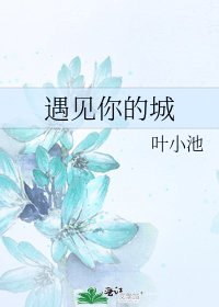 《遇见你的城》