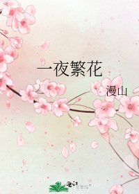 《一夜繁花》