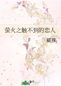 《萤火之触不到的恋人》