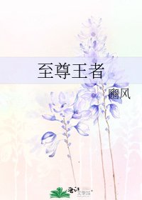 至尊王者